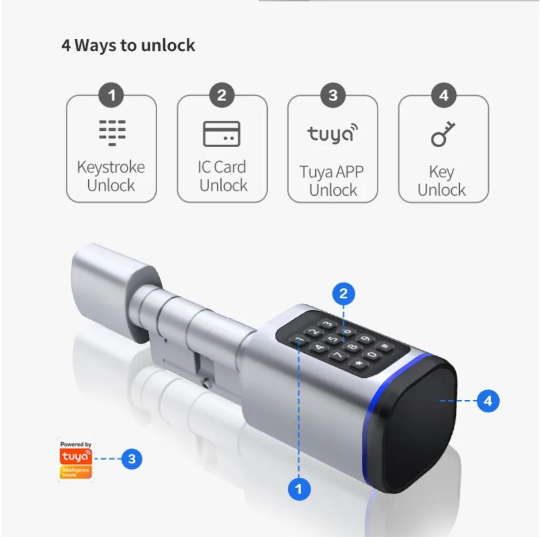 Fechadura de porta inteligente Tuya com Bluetooth, leitor de impressões digitais e senha